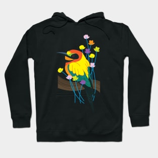 Colorful Bird Hoodie